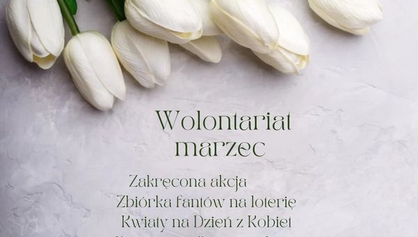 wolontariat
