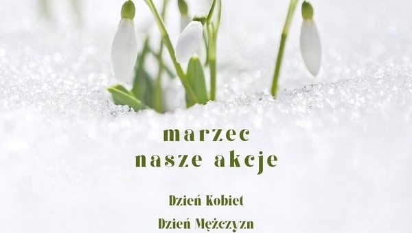Samorzad Bursy