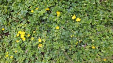 S0052008 640x480