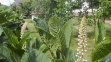 S0160022 640x480