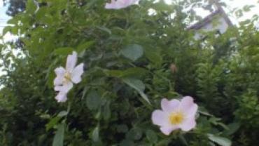 S0779261 640x480