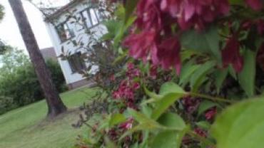 S0839271 640x480