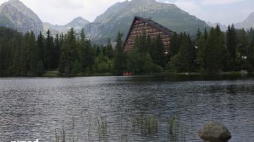 Zostanwdomu51
