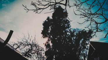 Img 20200416 173503
