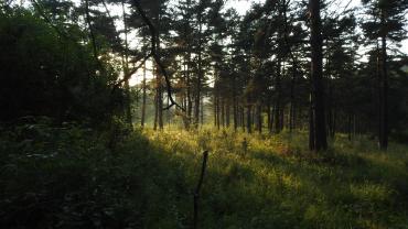 Dscn0260