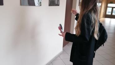 15. Scena