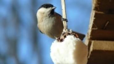 Gdy Natura Zasypia Wystawa Fotografii 3