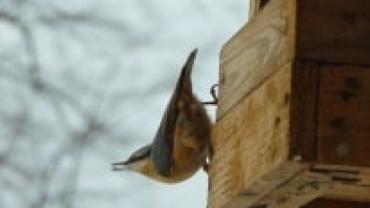 Gdy Natura Zasypia Wystawa Fotografii 6