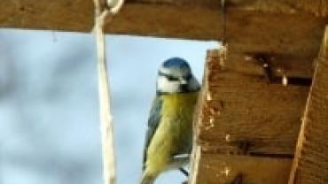 Gdy Natura Zasypia Wystawa Fotografii